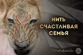 Нить счастливая семья