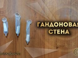 Гандоновая стена