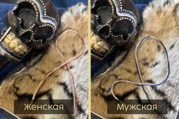 Нить “Удача во всем”